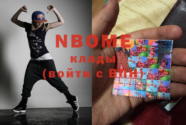 хмурый Алзамай
