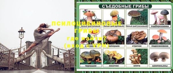 хмурый Алзамай