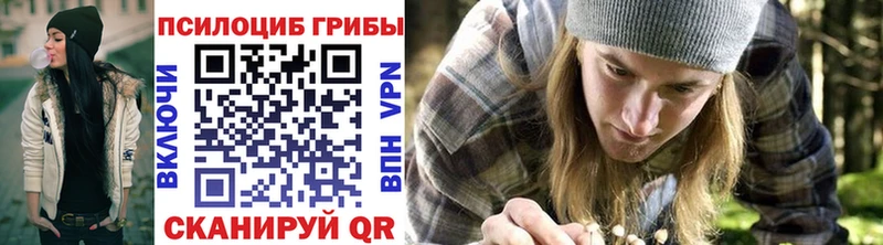 где найти наркотики  Барыш  kraken как зайти  Галлюциногенные грибы Psilocybe 